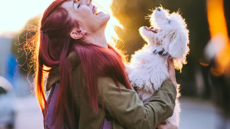 Danas se obilježava Dan pasa: Evo nekih neobičnih činjenica o ovim predivnim krznenim prijateljima