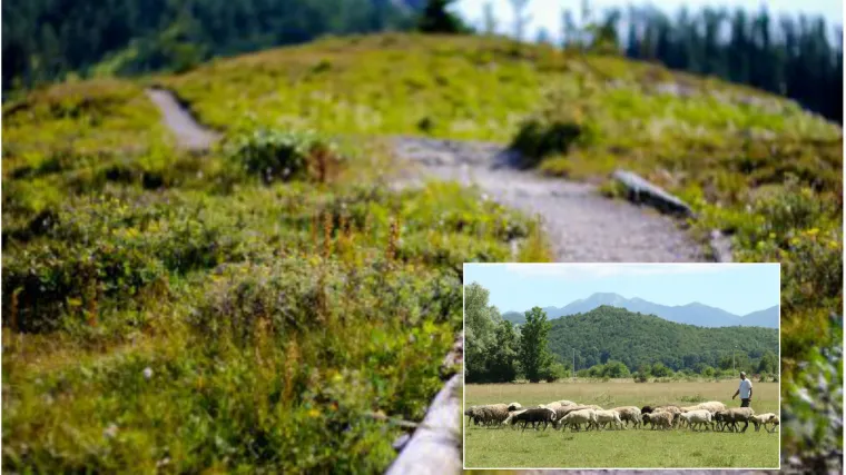 'Pisao sam i ministru, nemam ja 100.000 kuna... '