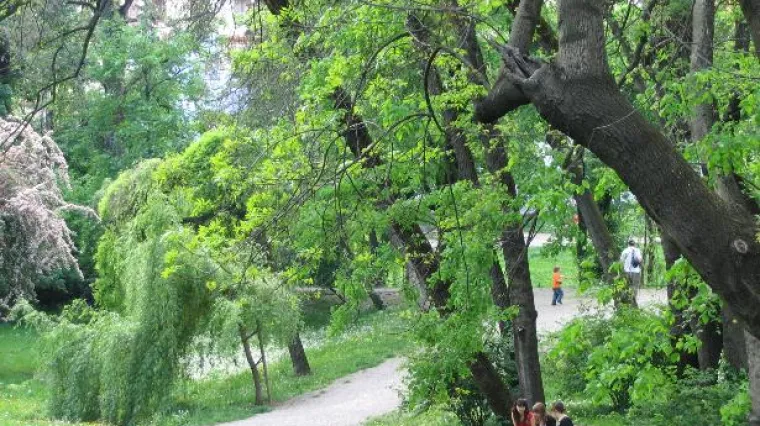 Dječaka na igrali&scaron;tu napao pas: njegov otac vratio istom mjerom, pretukao vlasnika