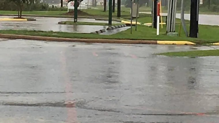 Nigdje bez njih: Teksa&scaron;ani odbijaju napustiti svoje domove bez kućnih ljubimaca