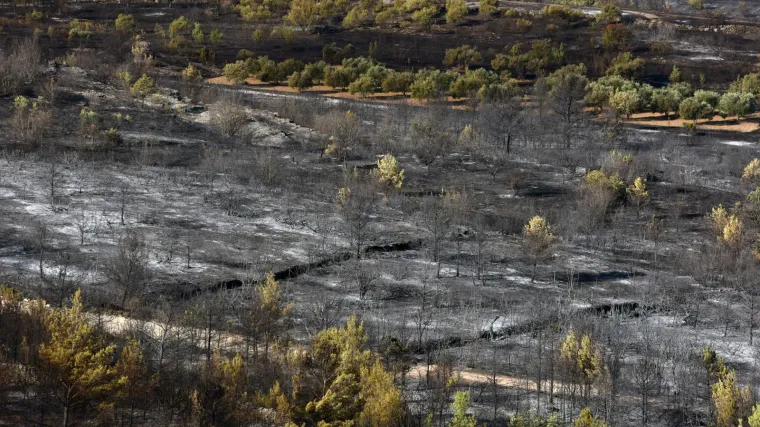75-godi&scaron;njak zapalio &scaron;umu i polja lavande prouzročiv&scaron;i &scaron;tetu od 100.000 kuna