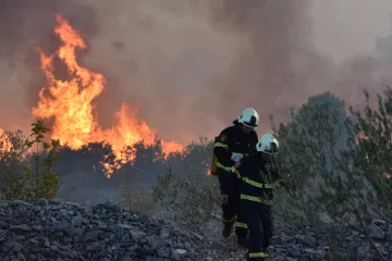 Lokaliziran požar u Peroju: izgorjelo 8 hektara bjelogorične šume