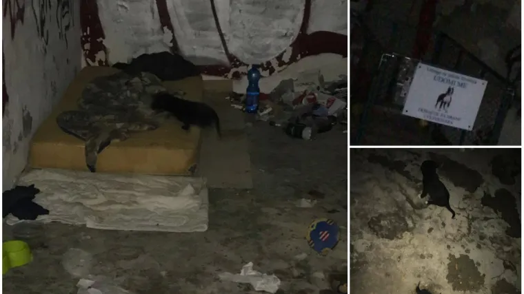 &Scaron;tence držali u narkomanskom brlogu punom &scaron;prica i fekalija usred Zagreba