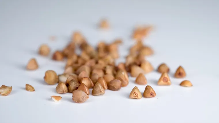 Heljda biljka:  sve prednosti ove zdrave integralne žitarice