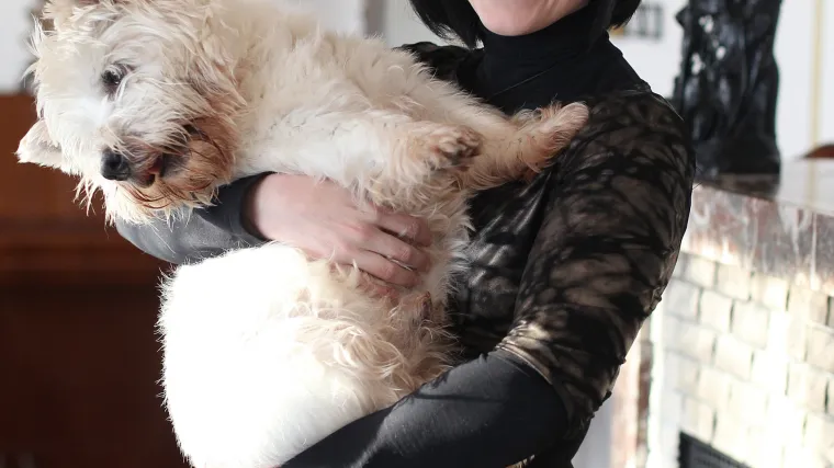 Hrvatski političari i njihovi kućni ljubimci: izraz lica na koji smo navikli mijenjaju kad govore o svojim ljubimcima