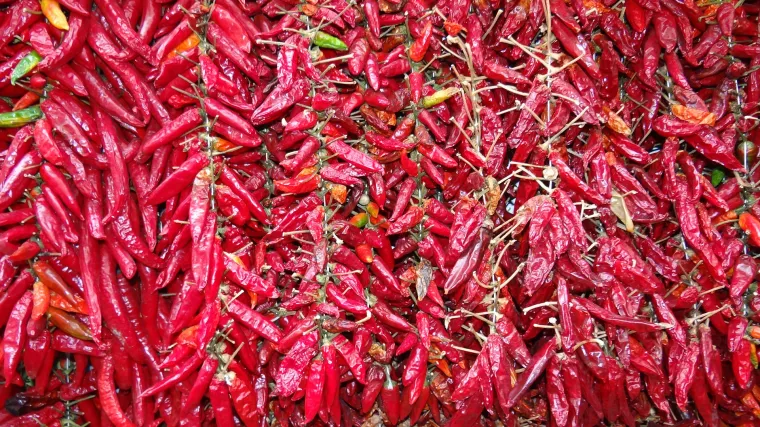 Aleva paprika - ljekoviti začin