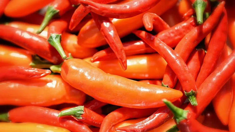 Ljute papričice vrste - znate li koje su najljuće vrste