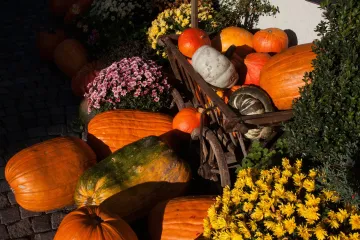 Ukrasne tikvice - idealne jesenske dekoracije