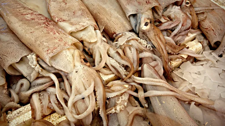 Či&scaron;ćenje lignji - kako se čiste lignje