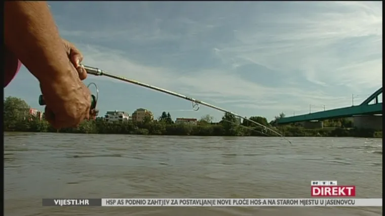 Savsko čudovi&scaron;te: Direkt u potrazi za somom od 2 metra i 100 kila koji živi u Savi i jede pse