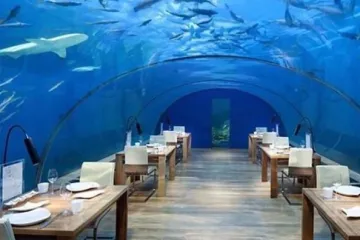 Ne treba vam disalica: podvodni restoran usred ocena oduzet će vam dah