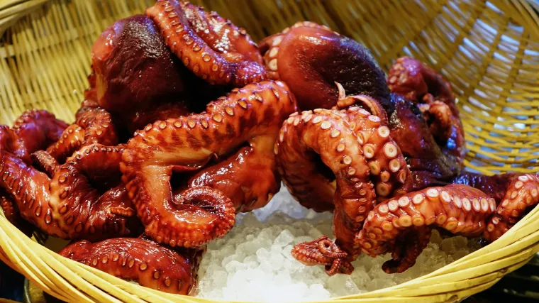 Čišćenje hobotnice - kako očistiti hobotnicu