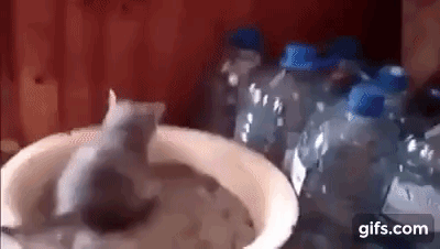 Jel' to tako svaki put?