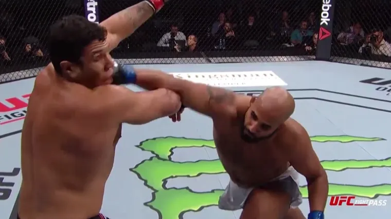 Ovaj video sjajno dočarava svu surovost i ljepotu UFC-a