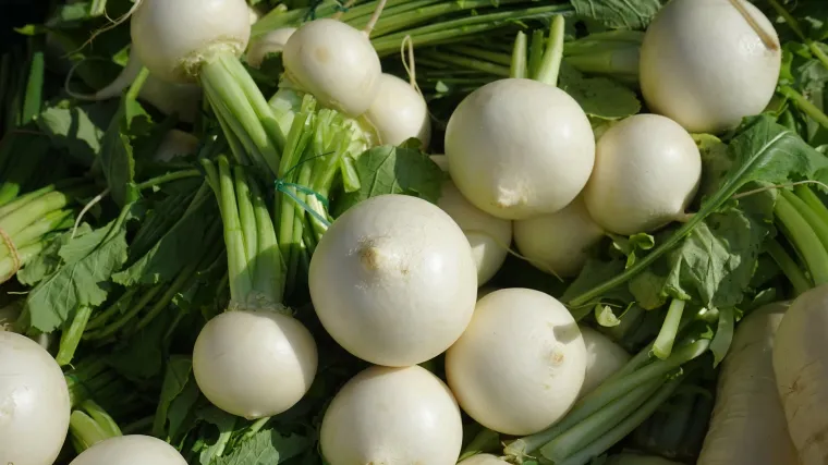 Kineski kupus - zdravlje i energija na tanjuru