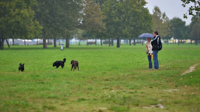 Ljutita '&Scaron;kvadra iz parka' pisala Bandiću: 'Za&scaron;to ste gradili park kad ste znali da će postati cesta?'