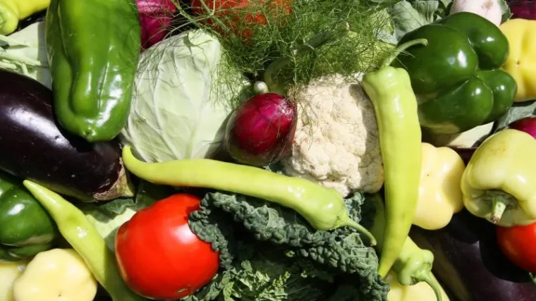 Oni koji ne jedu meso skloniji su fizičkih i psihičkih bolesti