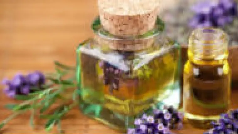 Lavanda protiv komaraca - prirodni repelent