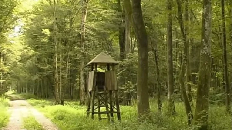 'Nikad nismo imali već otkupnu cijenu, tri puta je veća nego lani'