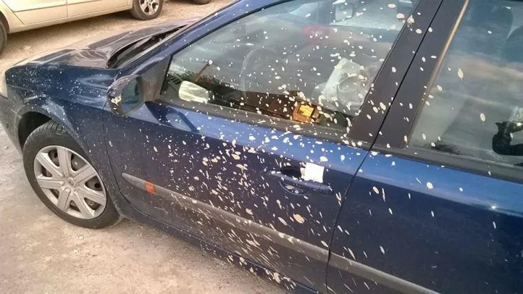 Novosađaninu zaprljao auto, ali ostavio poruku koja pogađa ravno u srce