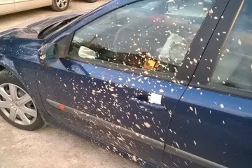 Novosađaninu zaprljao auto, ali ostavio poruku koja pogađa ravno u srce