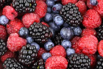 Bobičasto voće - bogat izvor vitamina
