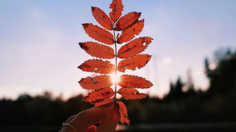 Voli&scaron; ljeto? Da, i mi, ali jesen će ti postati draga zbog ovih 6 malih stvari koje su jo&scaron; bolje u doba padanja li&scaron;ća
