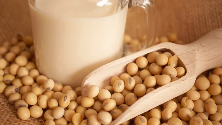 Soja biljka - biljka koja nije rezervirana samo za vegetarijance