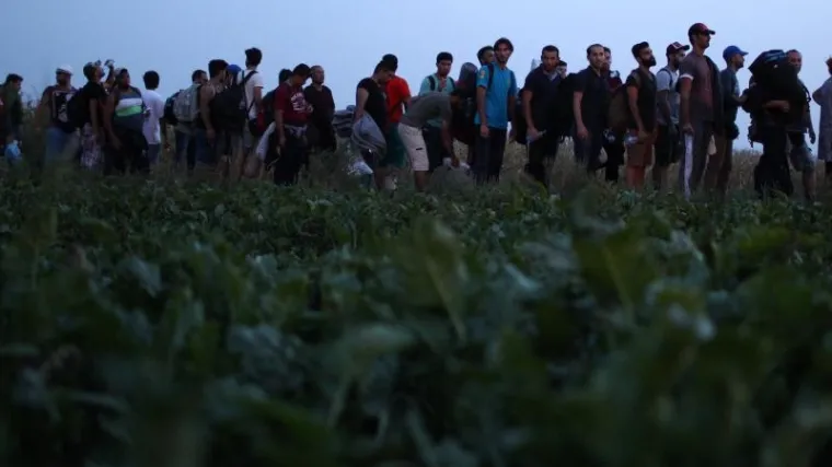 Bit će premje&scaron;teni iz Turske, a iduće godine stiže dodatnih 100