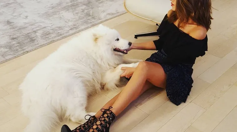 Pokazala duge noge i raspametila svoje fanove