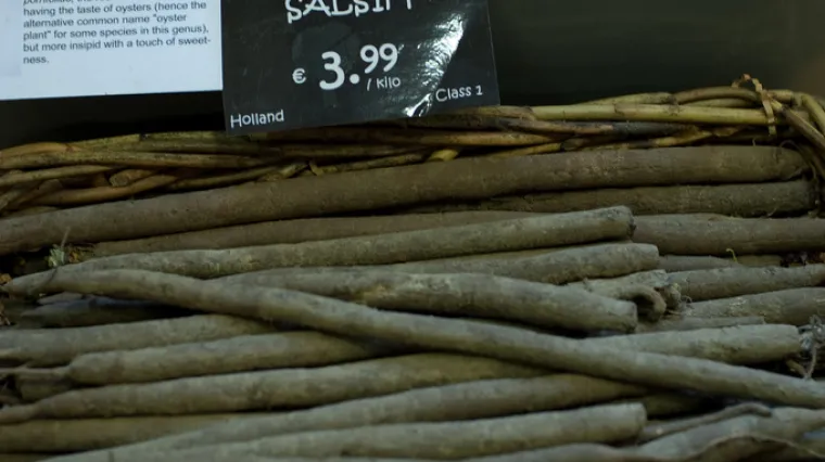 Španjolski zmijak - zaboravljena povrtna kultura