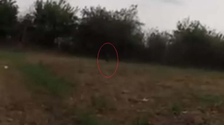 'Snimile smo goblina!'