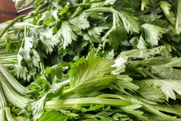 Celer listaš - celer koji ima listove jakog mirisa