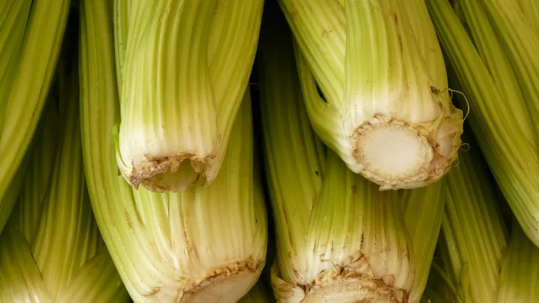 Celer korijen - kako koristiti celerov korijen u kulinarstvu
