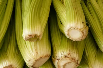 Celer korijen - kako koristiti celerov korijen u kulinarstvu