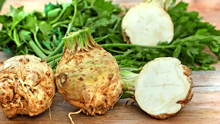 Celer bjela&scaron; - ljekoviti, mirisni dodatak jelima