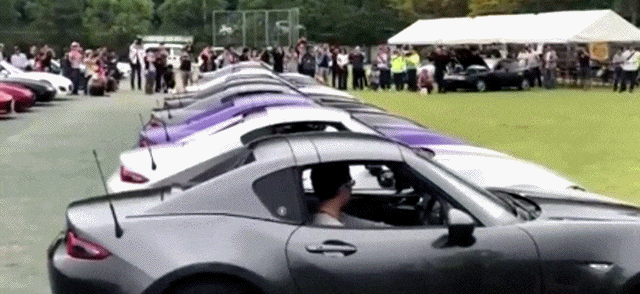 Sinkronizirana kriza srednjih godina