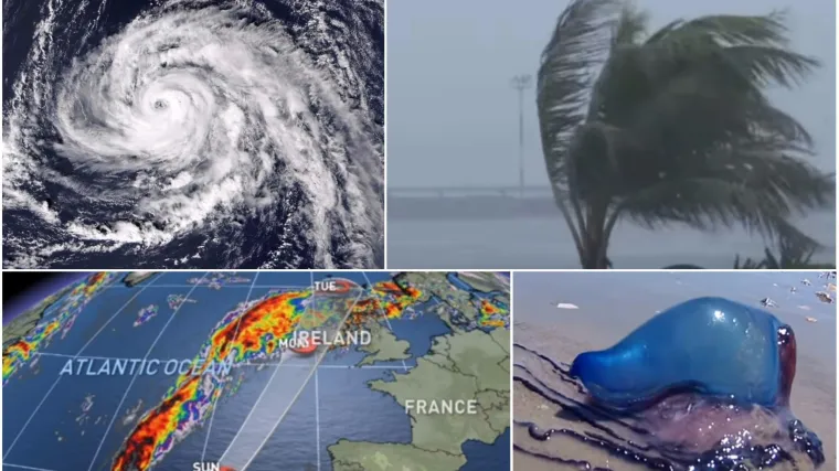 Objavljen crveni alarm, očekuju se olujni vjetrovi, do obala stigla otrovna morska stvorenja