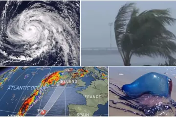 Objavljen crveni alarm, očekuju se olujni vjetrovi, do obala stigla otrovna morska stvorenja