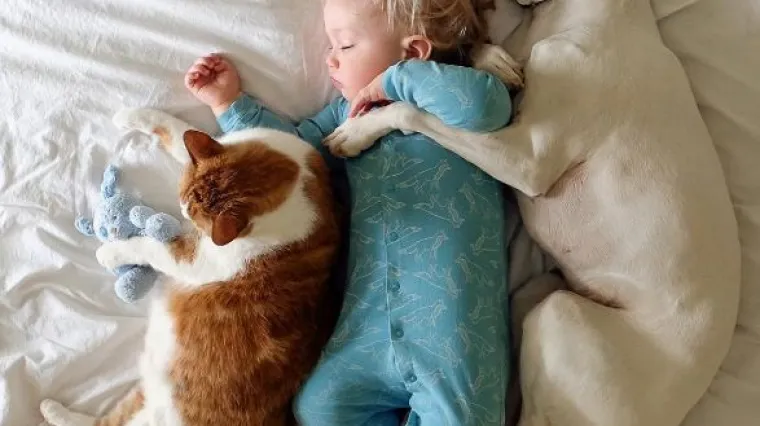 Prizori koji će vas raznježiti: ljubav dječaka, njegovih pasa i maca