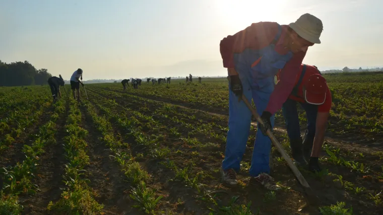 'Čari' hrvatskog pravosuđa i birokracije: nakon vi&scaron;e od pola stoljeća uspio upisati oranicu u svoje vlasni&scaron;tvo