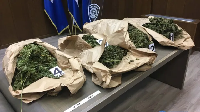 29-godi&scaron;njak kod Umaga u &scaron;umi uzgajao marihuanu pa ju u kamp prikolici su&scaron;io