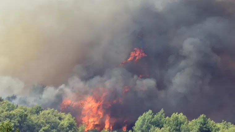 Premještena u bolnicu jer je neubrojiva
