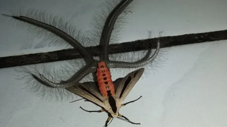 'Da ovo vidim, odmah bih spalio kuću do temelja'