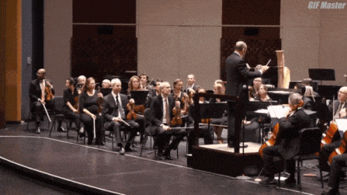 Ono kad se hvali&scaron; da svira&scaron; u orkestru