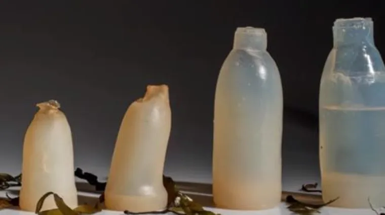 Genijalni eko izum: vodu popijete, bocu pojedete