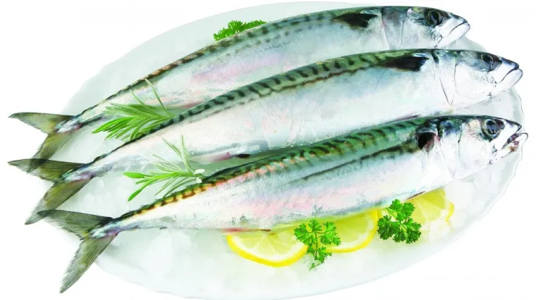 Upozorenje hrvatskim kupcima: zbog endoparazita s polica se povlači španjolska zaleđena skuša