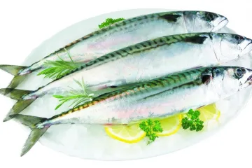 Upozorenje hrvatskim kupcima: zbog endoparazita s polica se povlači španjolska zaleđena skuša