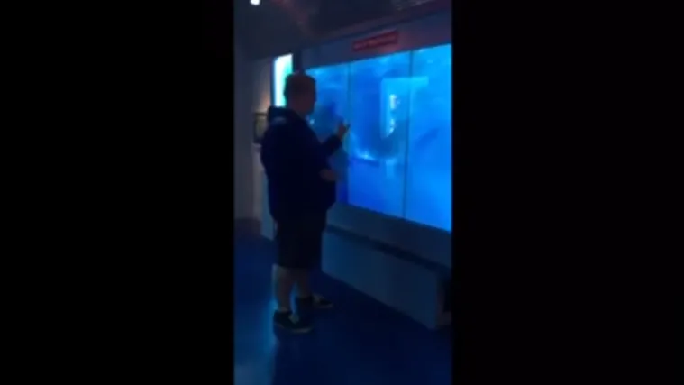 Novi nastavak 'Ralja': pogledajte &scaron;to dogodi kada dirate akvarij u kojem se nalazi morski pas