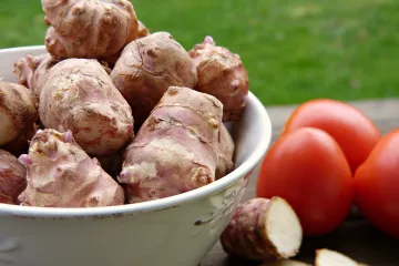 Čičoka: uzgoj, priprema i ljekovitost čičoke